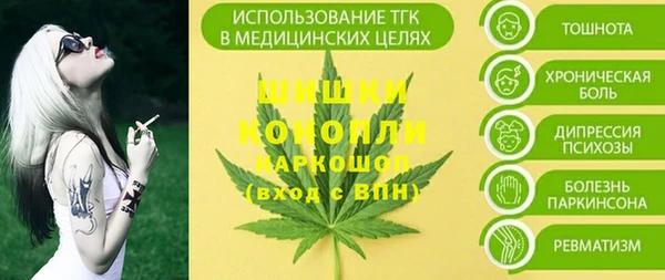 гашиш Богданович