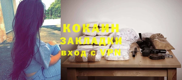 МДПВ Богородск
