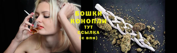 гашиш Богданович