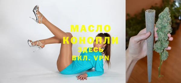 МДПВ Богородск
