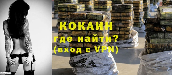 гашиш Богданович