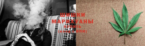 гашиш Богданович