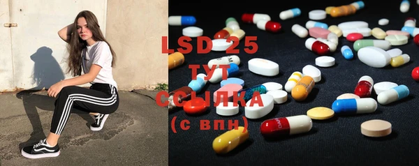 гашиш Богданович
